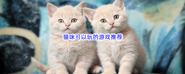 猫咪可以玩的游戏推荐