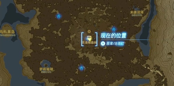 《塞尔达传说王国之泪》海拉鲁大森林神庙位置坐标介绍