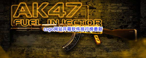 csgo网站开箱软件排行榜最新