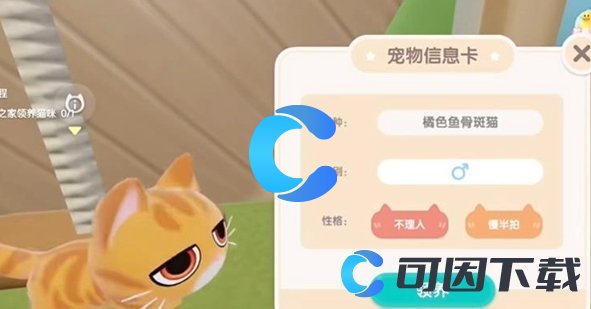 《心动小镇》养猫详细攻略