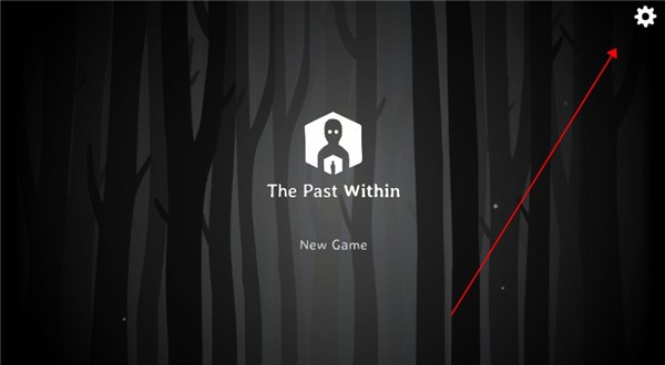 THE PAST WITHIN