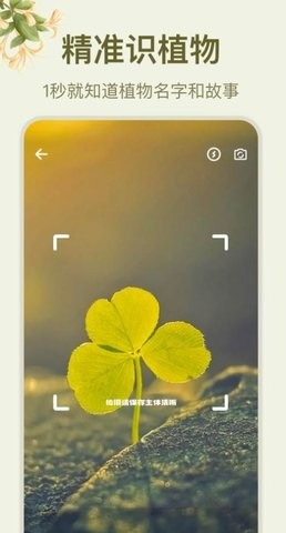 拍照识花大师软件截图