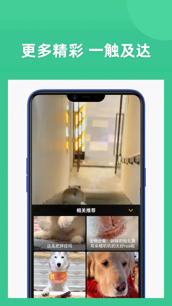 享福视频手机软件app