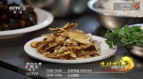 CyberTV手机软件app