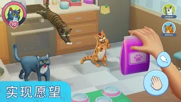 我的宠物猫模拟器游戏截图