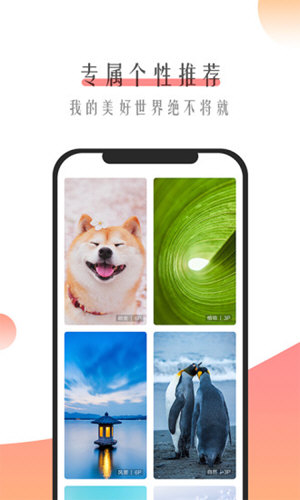 米柚壁纸手机软件app