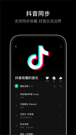 汽水音乐HD版本软件截图