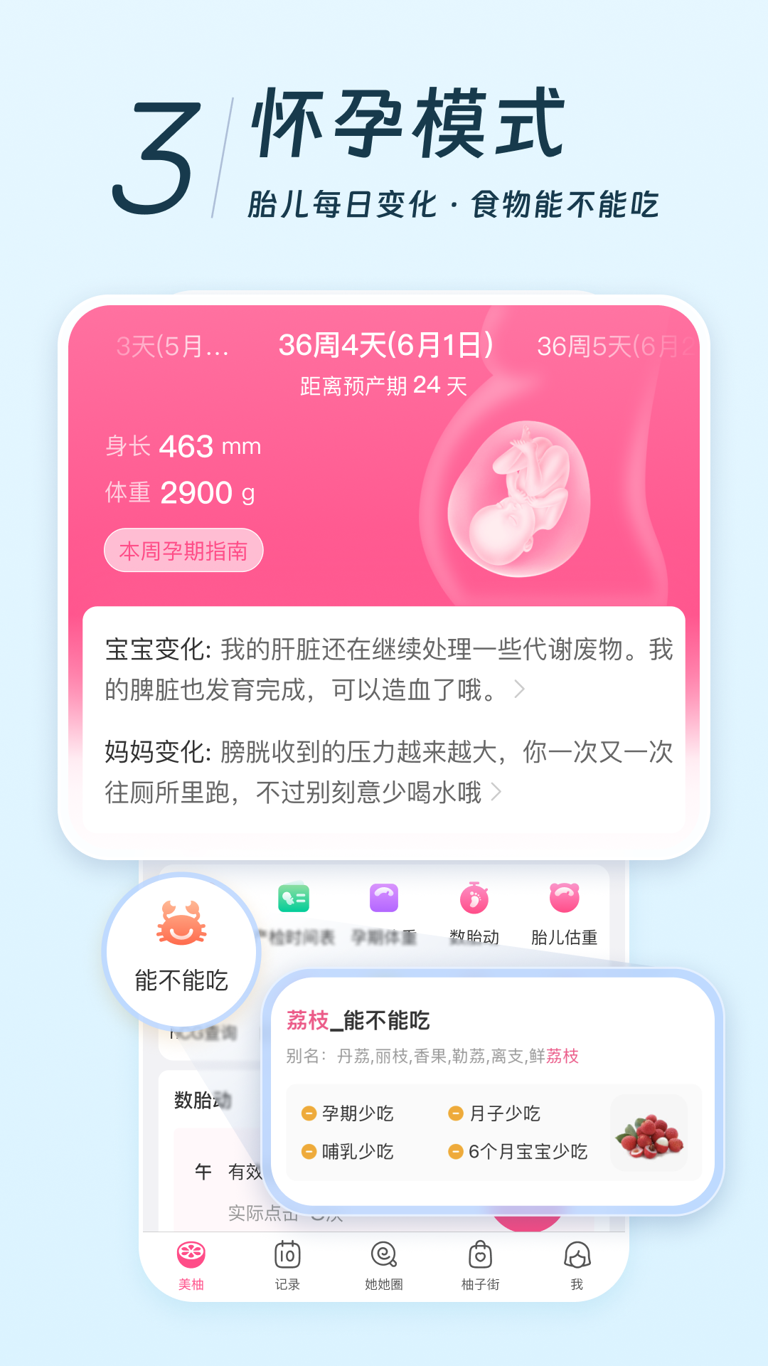 美柚手机软件app