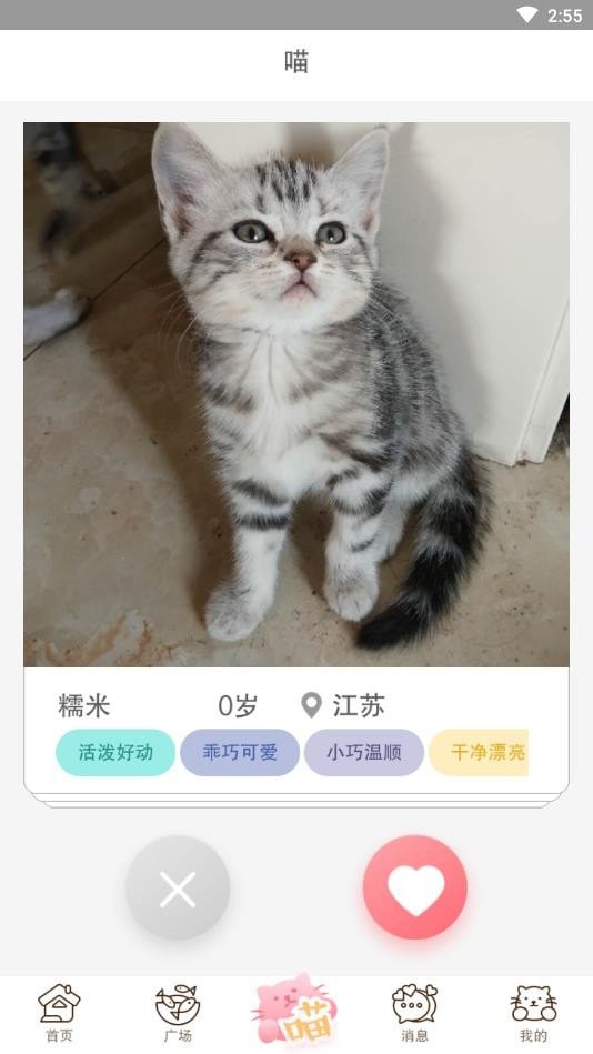 猫咪汇软件截图