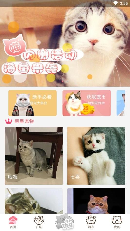 猫咪汇手机软件app