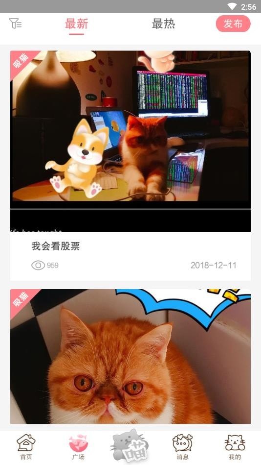 猫咪汇软件截图