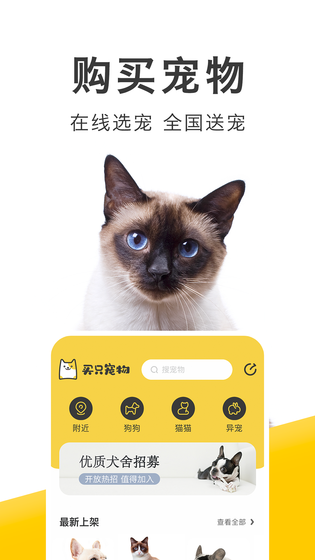 买只宠物手机软件app