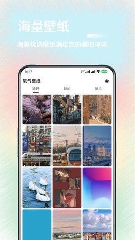 氧气壁纸手机软件app