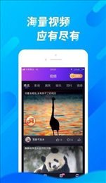 cici短视频手机软件app